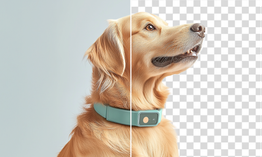 AI background remover