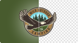 Logo background remover