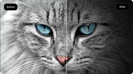 Vignette effect generator