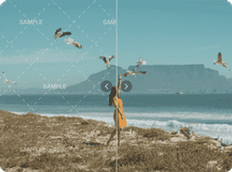 Video watermark remover