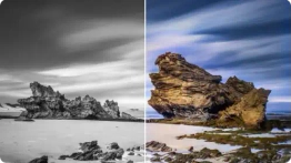 AI image colorizer