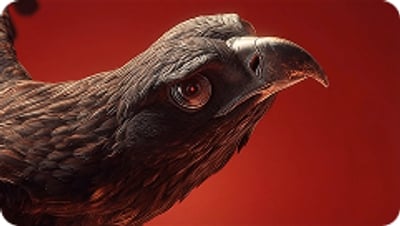raven-red