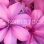 Remove watermarks