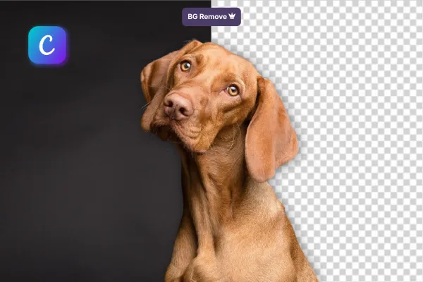 How to remove background in Canva (3 easy techniques + AI tools)