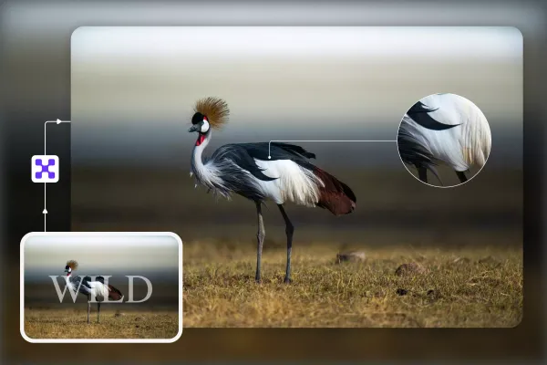 Best AI tools for text removal from an image