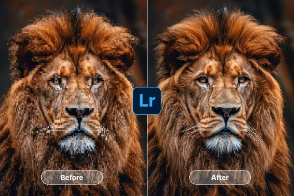 How to upscale an image in Lightroom (5 techniques, AI alternatives & more)
