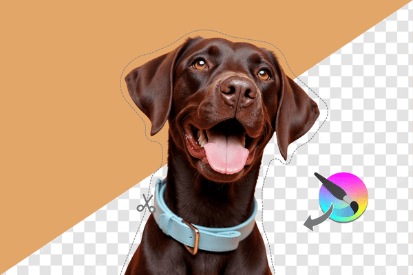 How to remove background in Krita(3 methods, most asked queries & more)