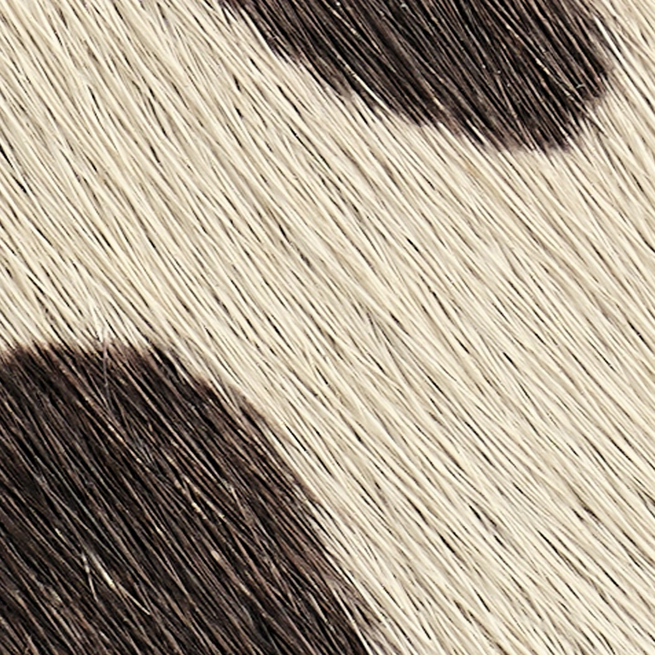 ANIMAL-PRINT PONY HAIR-EFFECT LEATHER BELT - 5