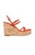 Briza Orange Wedges