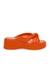 Concept Orange Wedges