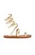 Suspicion Gold Flats