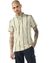 Striped Regular Fit Polo T-Shirt with Brand Accents