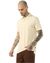 Graphic Regular fit Polo