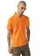 Necktape Detailing Bright Premium Cotton Regular Fit Polo Tshirt