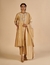 Beige Embroidered color block Dupatta