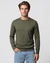 Men's Green Regular Fit Knit Sweater