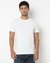 Slim Fit Crewneck T-Shirt with Signature Branding