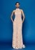 Blush Aura Embellished Lace Gown