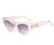 AUGEN Modern Cat Eye Plastic Women Sunglasses UV 400 Protected Medium Size (203-C10)