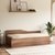 Solter Diwan Bed with Stoarge (Finish Color -Teak)