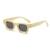 AUGEN Modern Square Plastic Unisex Sunglasses UV 400 Protected Medium Size (181-C11)