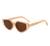 AUGEN Modern Cat Eye Plastic Unisex Sunglasses UV 400 Protected Large Size (183-C2)