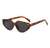 AUGEN Modern Cat Eye Plastic Unisex Sunglasses UV 400 Protected Large Size (183-C5)