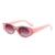 AUGEN Modern Cat Eye Plastic Women Sunglasses UV 400 Protected Medium Size (190-C3)