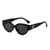 AUGEN Modern Cat Eye Plastic Women Sunglasses UV 400 Protected Medium Size (202-C1)