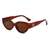 AUGEN Modern Cat Eye Plastic Women Sunglasses UV 400 Protected Medium Size (202-C5)