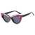 AUGEN Garnexa Sunglass (M263-C2)