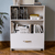 Austen Bookshelf - White