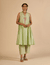 Pista Flared Embroidered Kurta