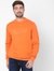 Ross Logo Print Slim Fit Pullover
