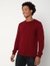 Regular Fit Full Sleeve Rib Neck Solid Cotton Sweater