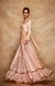Peach Chanderi Silk Gota Skirt