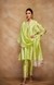 Pista Green Chanderi Silk Gota Stole