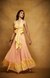 Pink & Yellow Ruffle Bordered Skirt