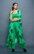 Green Long Overlay