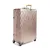 19 Degree Aluminium Extended Trip Packing Case Checked Luggage