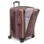 Tegra Lite International Front Pocket Expandable Carry-On