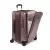 Tegra Lite Continental Front Pocket Expandable Carry-On Blush