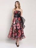 Floral Organza Printed Dress