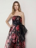 Floral Organza Printed Dress