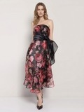 Floral Organza Printed Dress