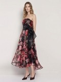 Floral Organza Printed Dress