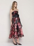 Floral Organza Printed Dress