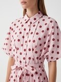 Erine Polka Dress