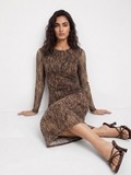 Kasia Brown Printed Dress