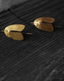 Noctuidmoth Plain Big